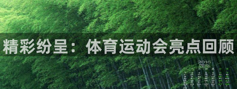 77体育官网：精彩纷呈：体育运动会亮点回顾