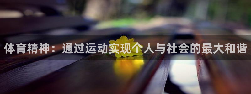 77体育官网：体育精神：通过运动实现个人与社会的最大和谐