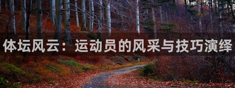 77体育官网：体坛风云：运动员的风采与技巧演绎