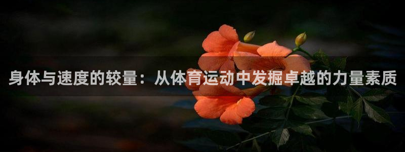皇冠277体育：身体与速度的较量：从体育运动中发掘卓越的力量素质