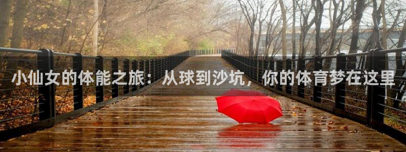77体育官网：小仙女的体能之旅：从球到沙坑，你的体育梦在这里