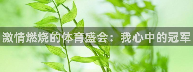 77体育官网：激情燃烧的体育盛会：我心中的冠军