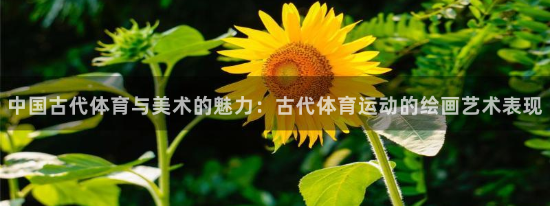 皇冠277体育：中国古代体育与美术的魅力：古代体育运动的绘画艺术表现